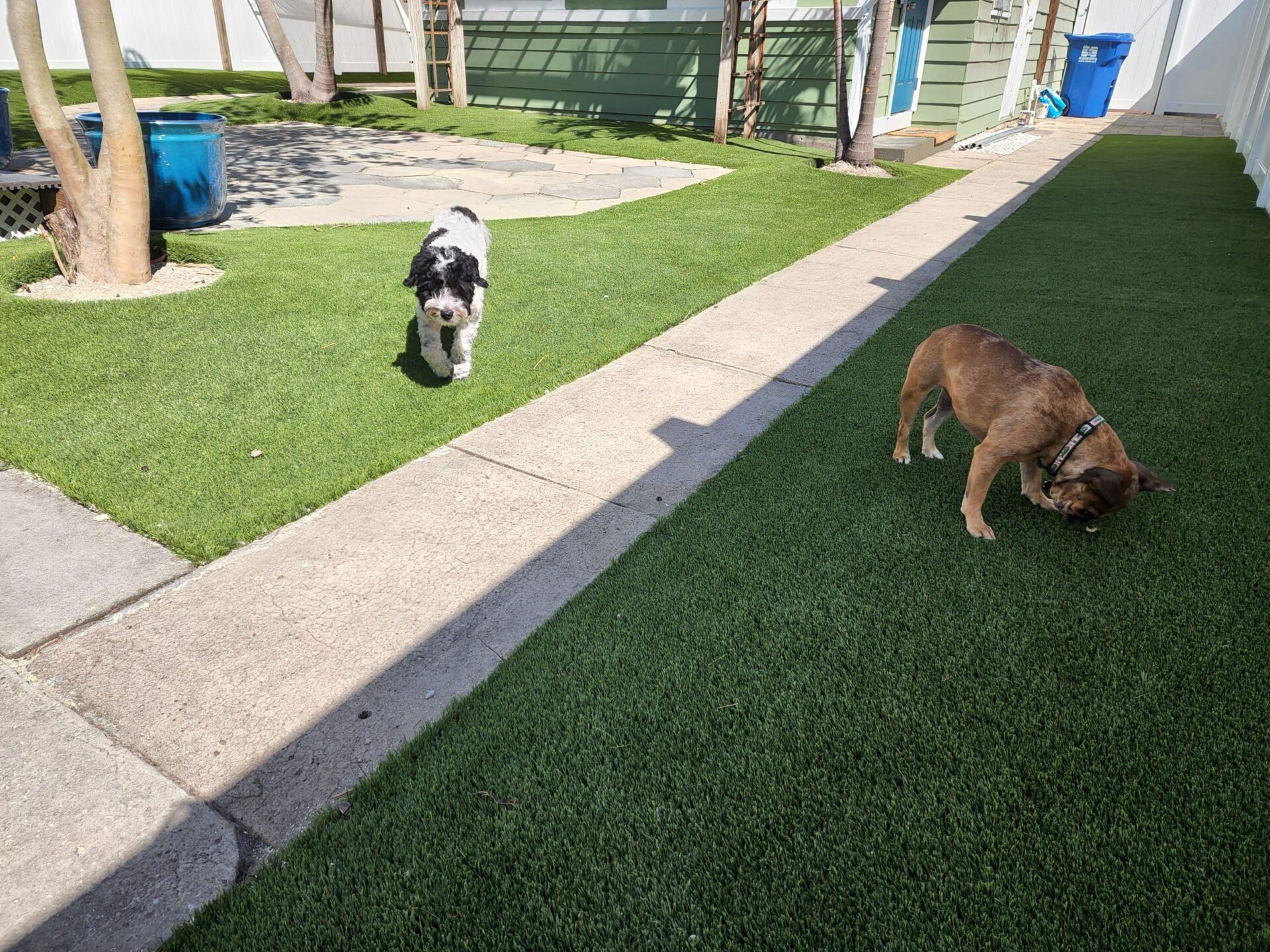 k9 pet turf installation