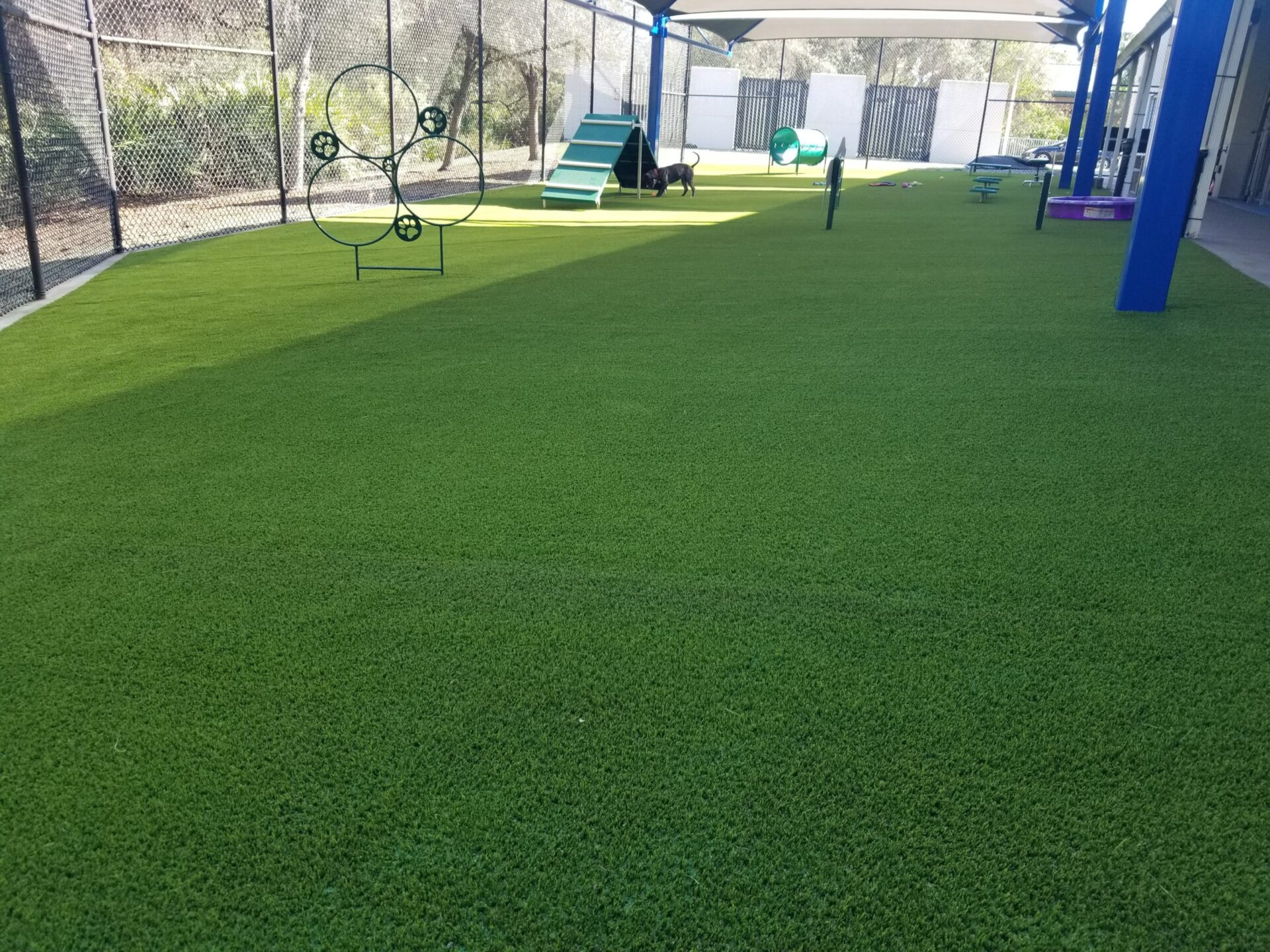 k9 synthetic turf pet park