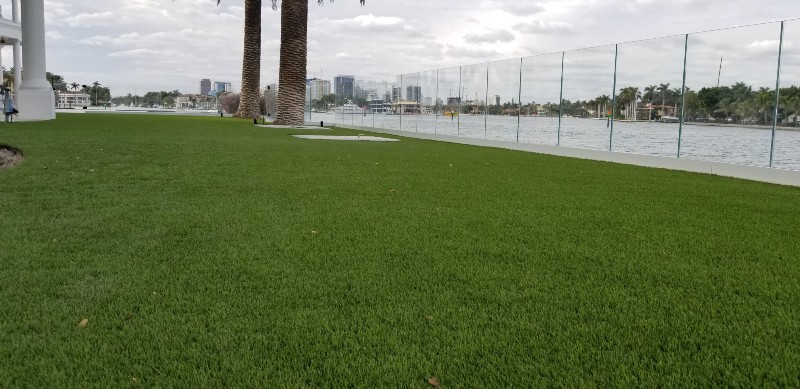 Carrollwood turf installation