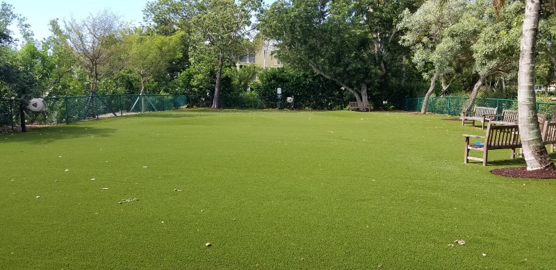 synthetic pet turf