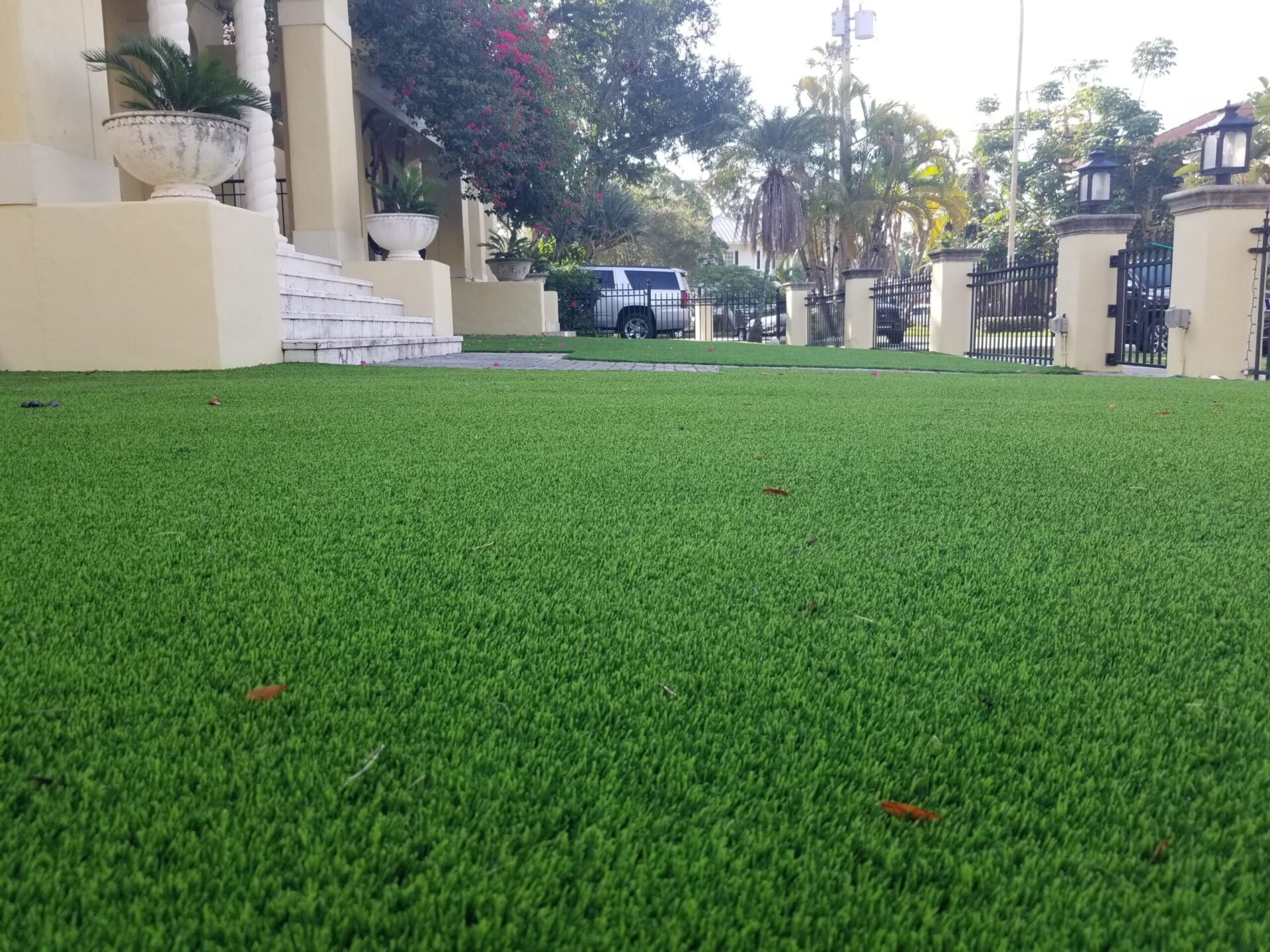 synthetic turf