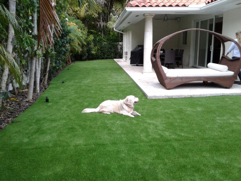 synthetic pet turf