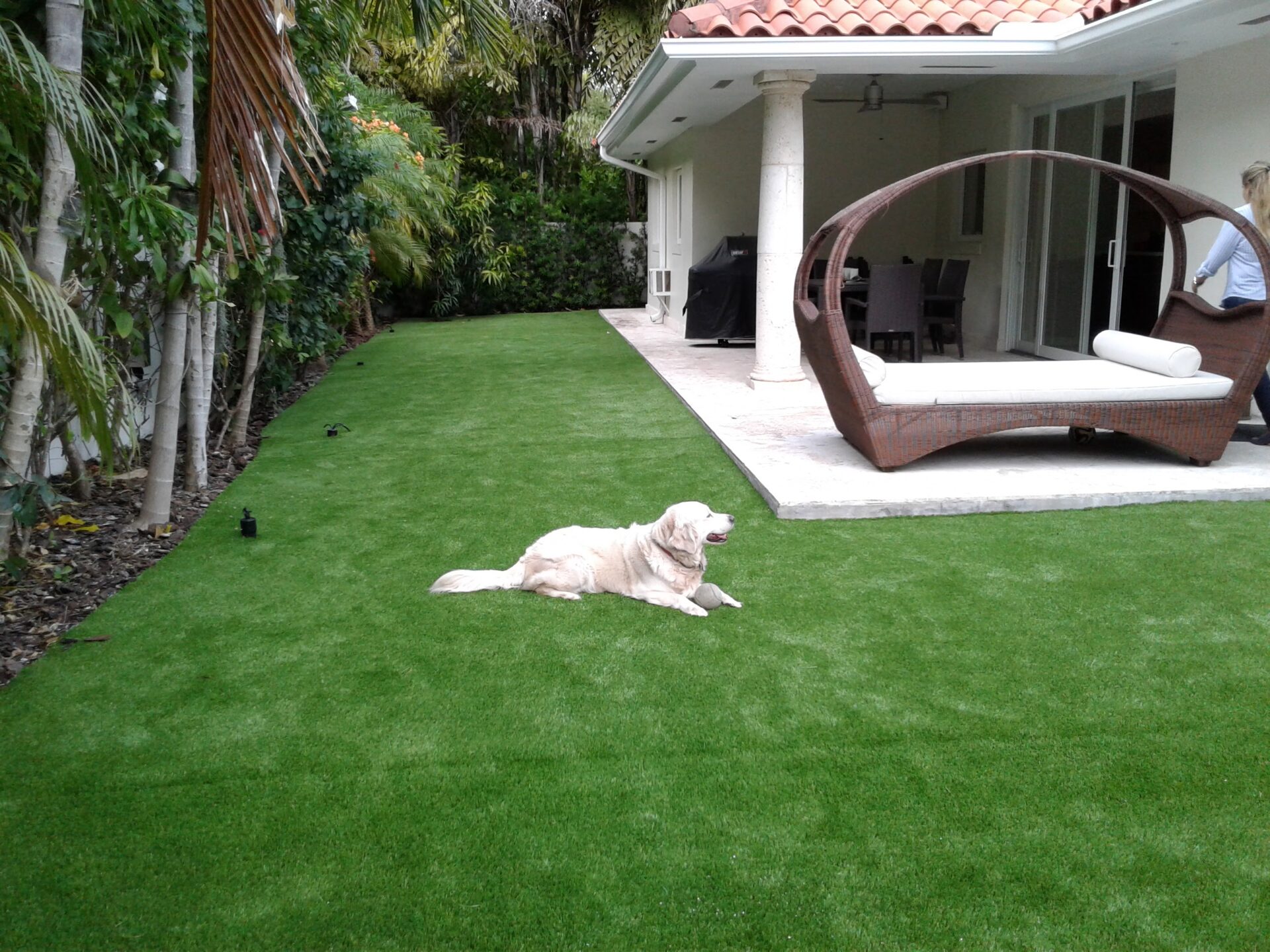 synthetic pet turf